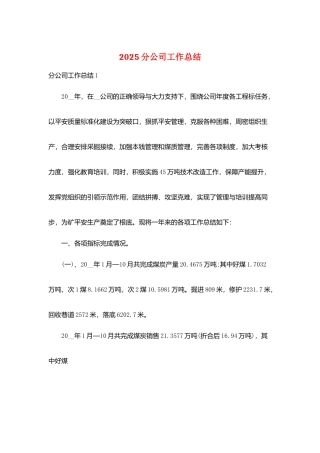 2025分公司工作总结