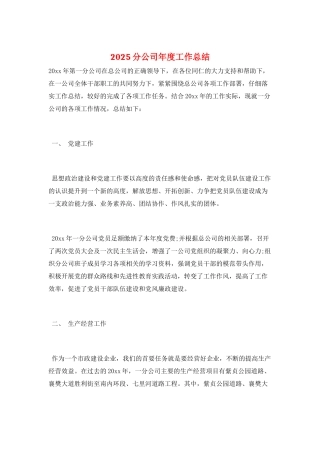 2025分公司年度工作总结
