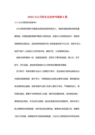 2025分公司财务总结参考最新5篇