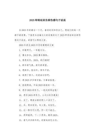 2025即将结束告别伤感句子说说