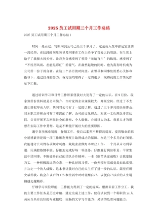 2025员工试用期三个月工作总结