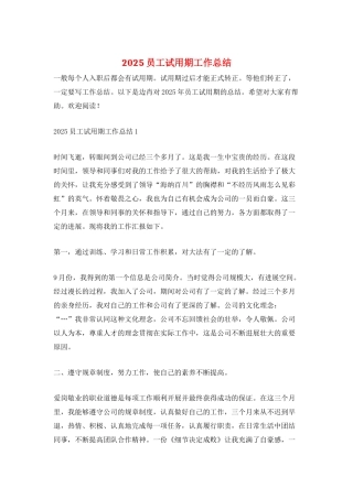2025员工试用期工作总结
