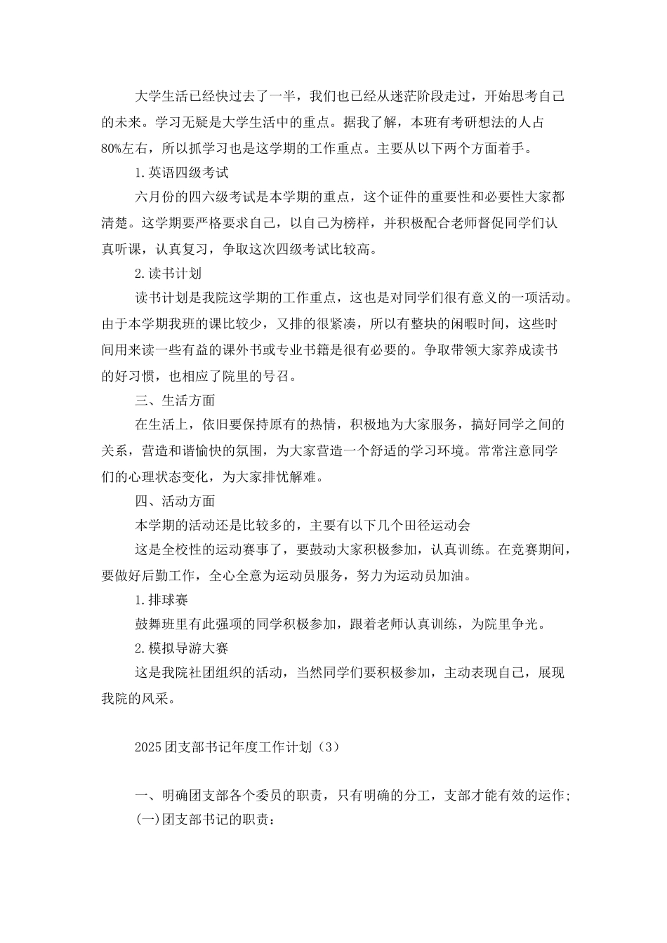 2025团支部书记年度工作计划_第3页