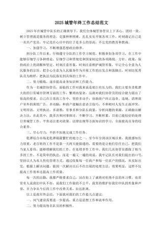2025城管年终工作总结范文