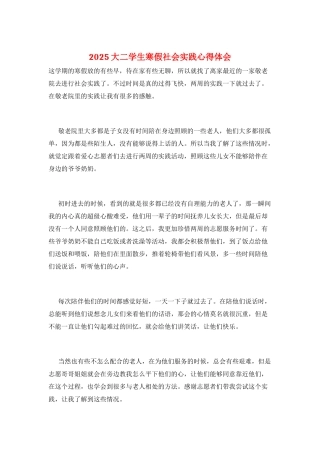 2025大二学生寒假社会实践心得体会