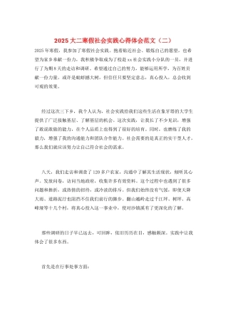 2025大二寒假社会实践心得体会范文(二)