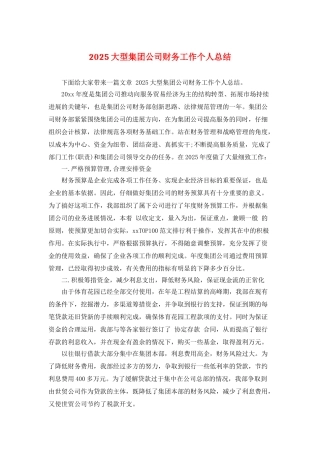2025大型集团公司财务工作个人总结