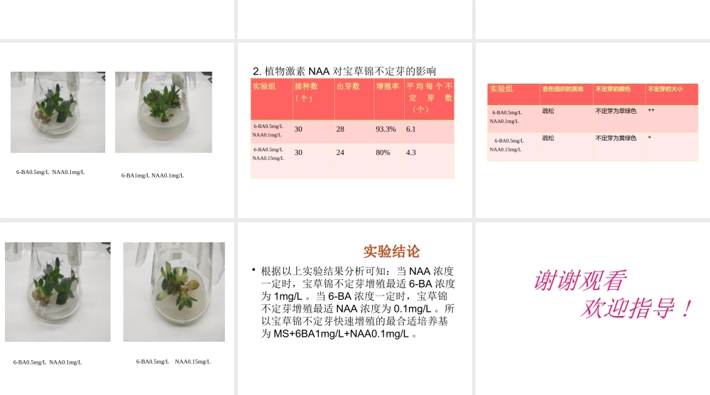 宝草锦(Haworthia cymbiformis var. triebnet poelln)组培继代培养的激素优化研究论文答辩
