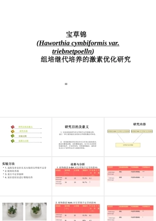 宝草锦(Haworthia cymbiformis var. triebnet poelln)组培继代培养的激素优化研究论文答辩