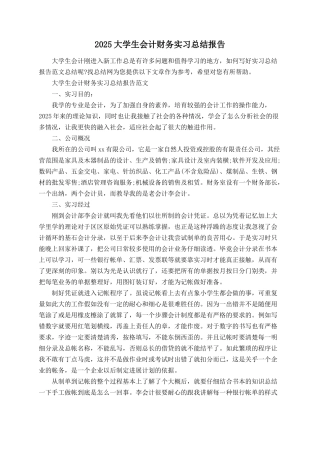 2025大学生会计财务实习总结报告