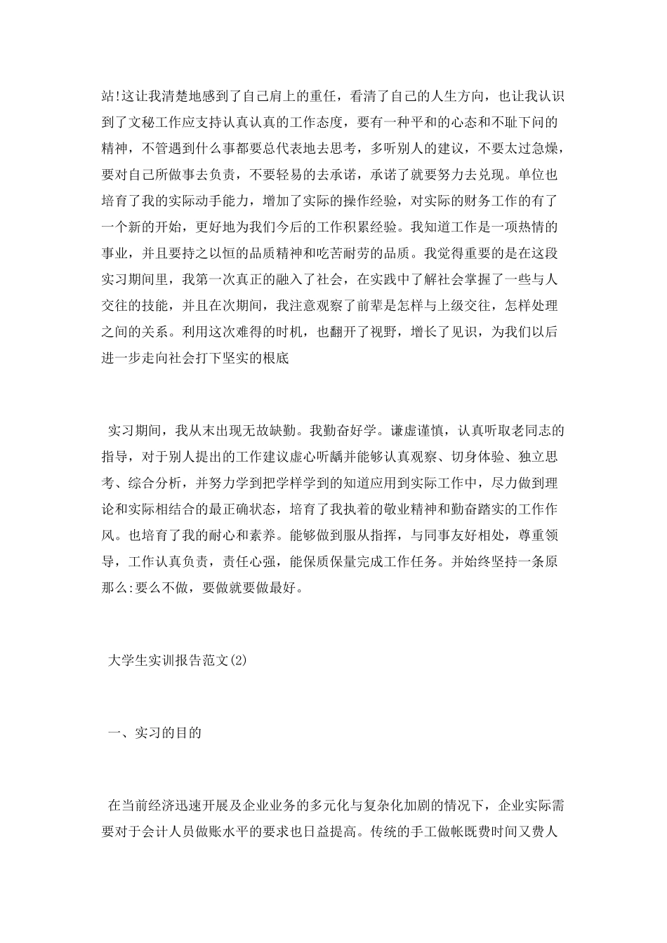2025大学生实训报告总结_第3页
