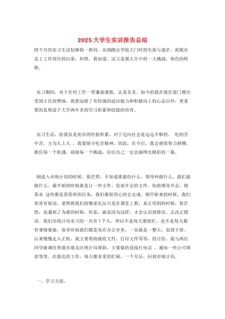2025大学生实训报告总结