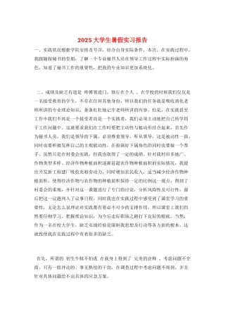 2025大学生暑假实习报告