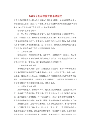 2025子公司年度工作总结范文