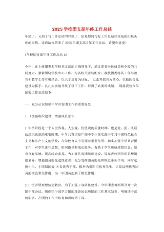 2025学校团支部年终工作总结