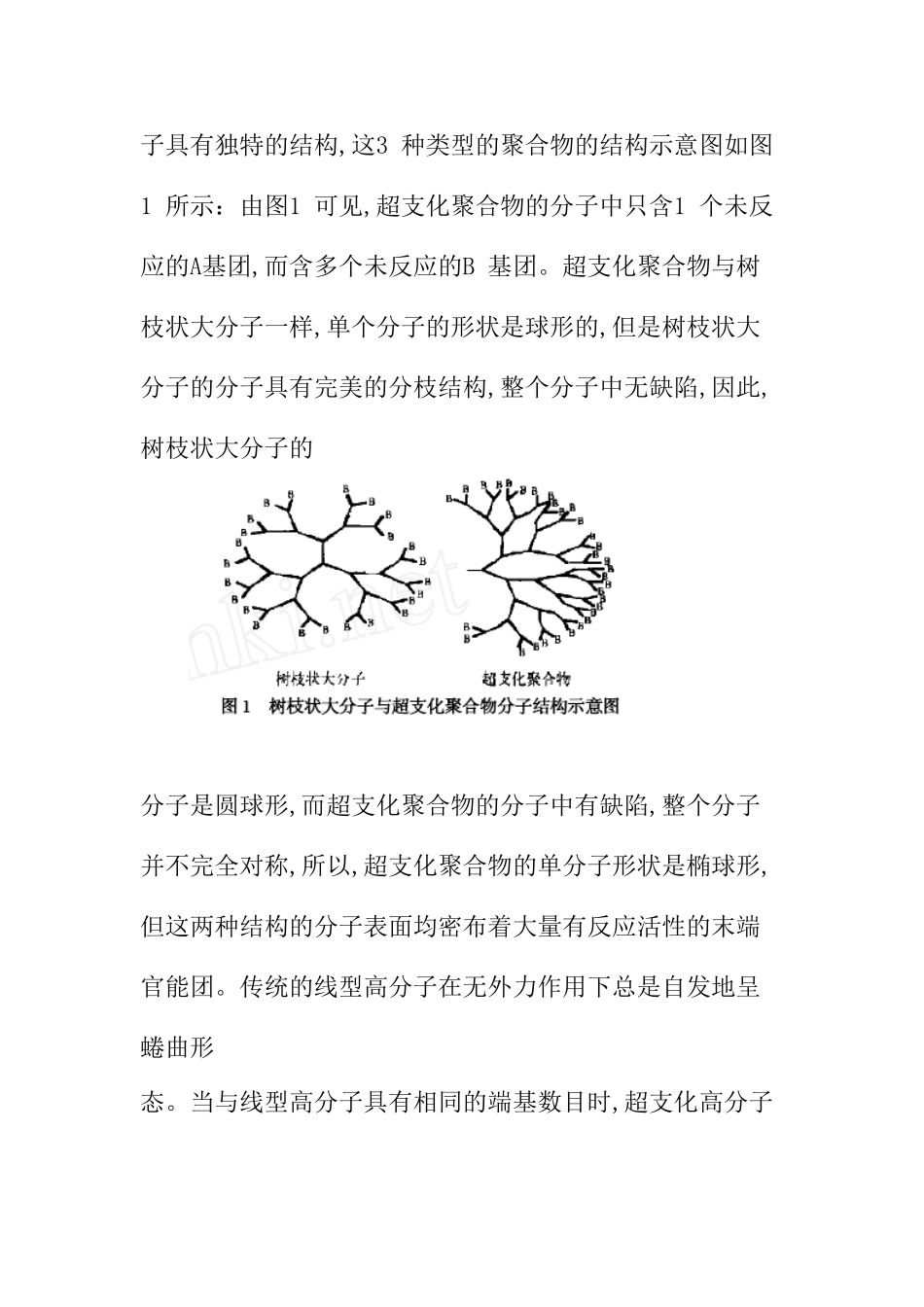 单体慢滴加合成超支化大分子的计算机模拟分析研究  计算机科学与技术专业_第3页