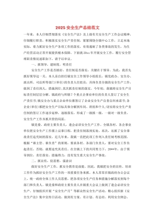 2025安全生产总结范文