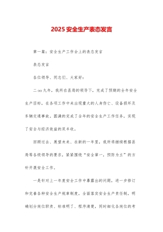 2025安全生产表态发言