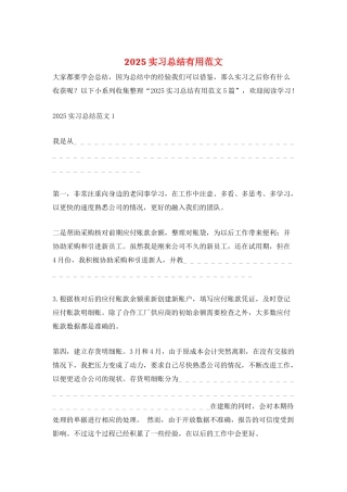 2025实习总结实用范文