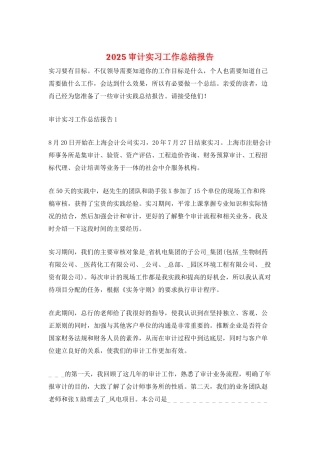 2025审计实习工作总结报告