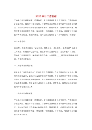 2025审计工作总结