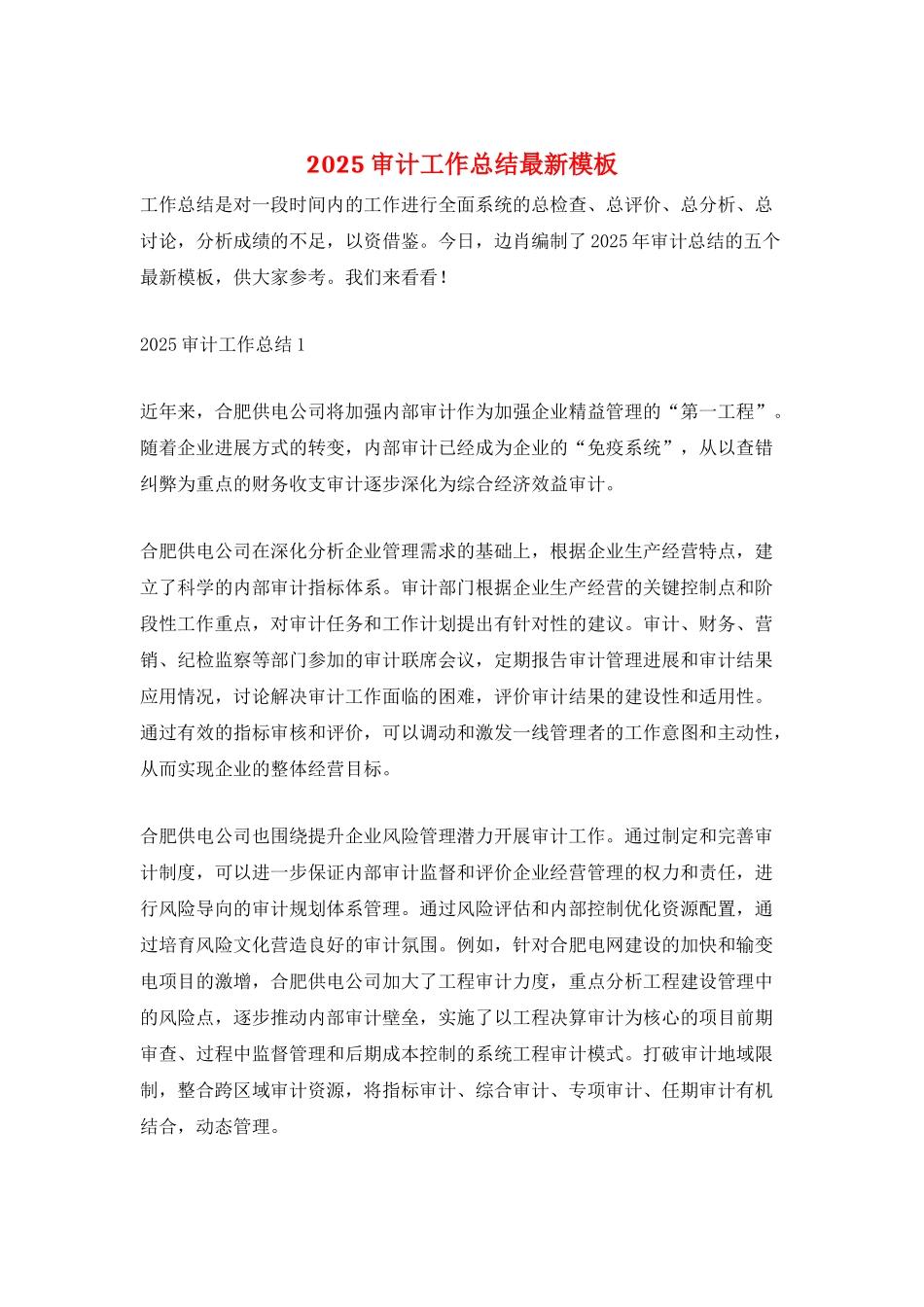 2025审计工作总结最新模板_第1页