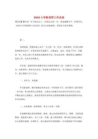 2025小学新教师工作总结