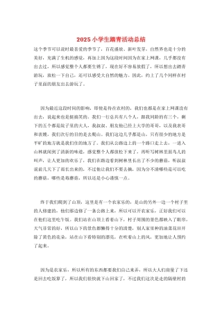 2025小学生踏青活动总结