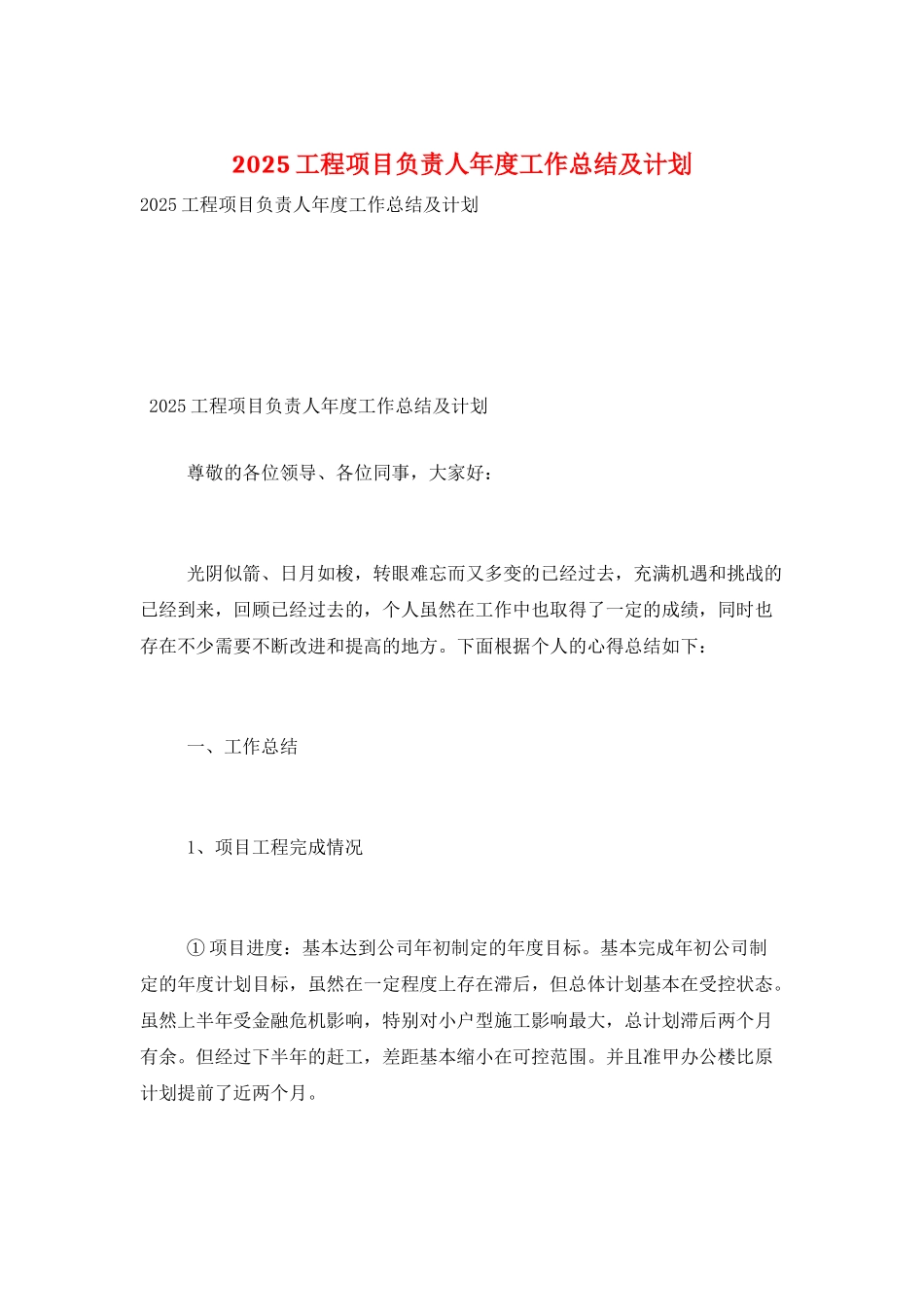 2025工程项目负责人年度工作总结及计划_第1页