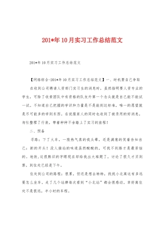2025年10月实习工作总结范文