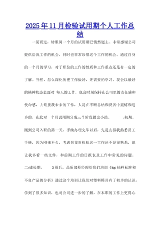 2025年11月检验试用期个人工作总结
