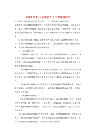 2025年11月记账员个人工作总结范文