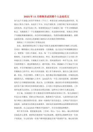 2025年11月销售员试用期个人总结范文