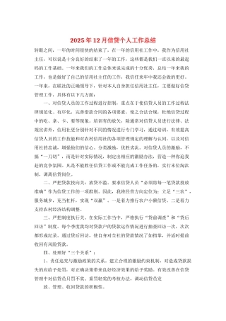 2025年12月信贷个人工作总结