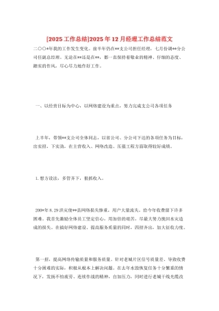 2025年12月经理工作总结范文