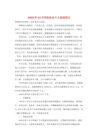 2025年12月车队队长个人总结范文