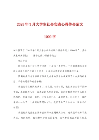 2025年3月大学生社会实践心得体会范文1000字