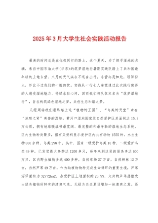2025年3月大学生社会实践活动报告