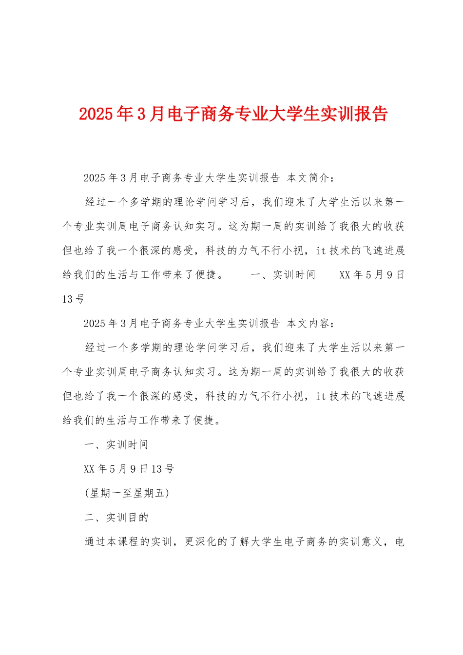 2025年3月电子商务专业大学生实训报告_第1页