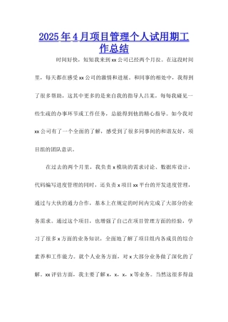 2025年4月项目管理个人试用期工作总结
