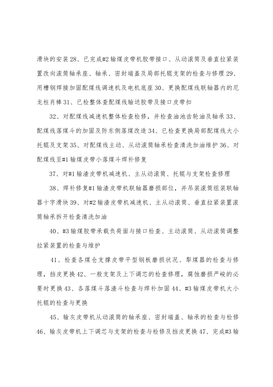 2025年728燃料专业检修工作总结_第3页