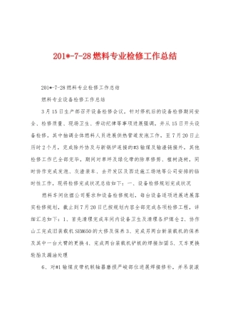 2025年728燃料专业检修工作总结
