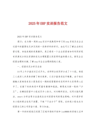 2025年ERP实训报告范文