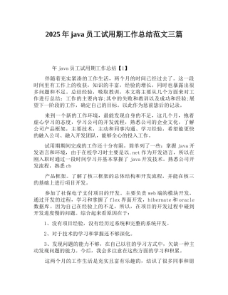 2025年java员工试用期工作总结范文三篇