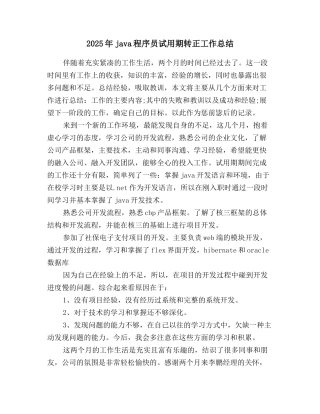 2025年java程序员试用期转正工作总结
