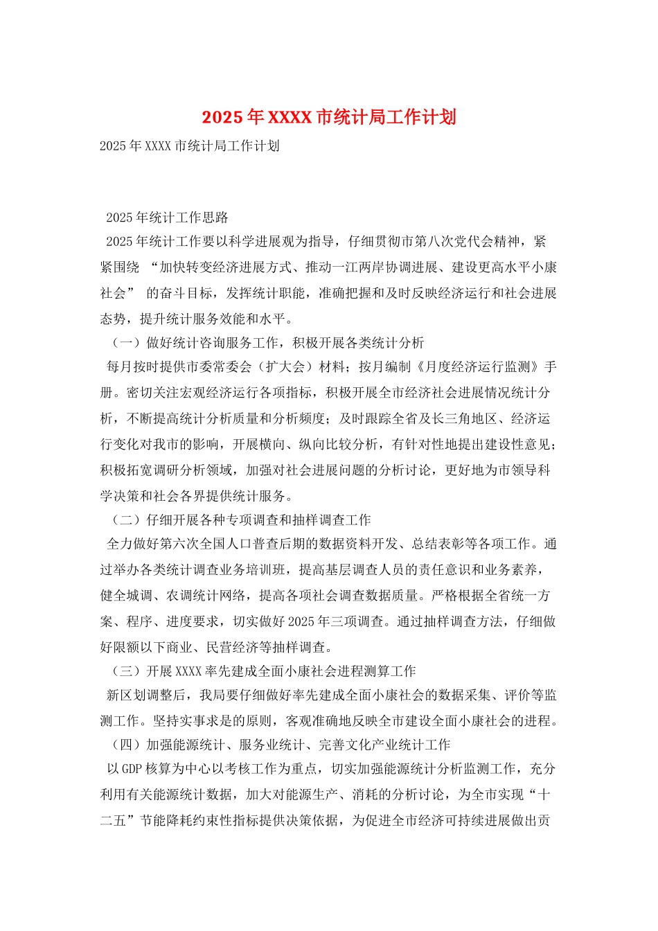 2025年XXXX市统计局工作计划_第1页