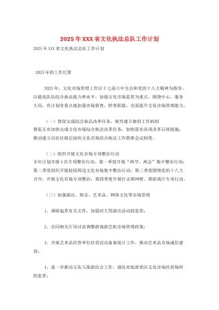 2025年XXX省文化执法总队工作计划