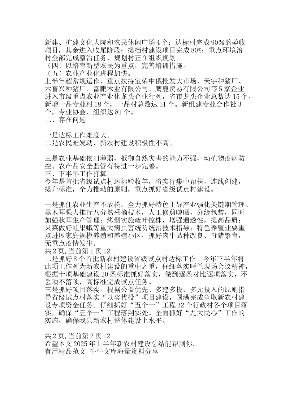 2025年上半年新农村建设总结-精品范文资料_第2页