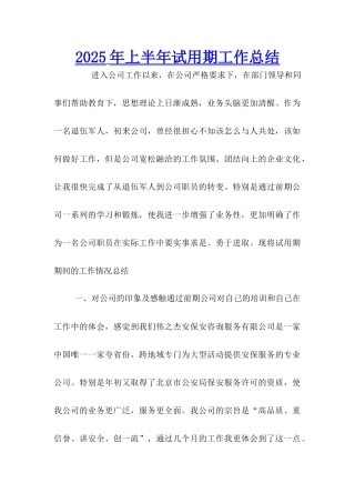 2025年上半年试用期工作总结