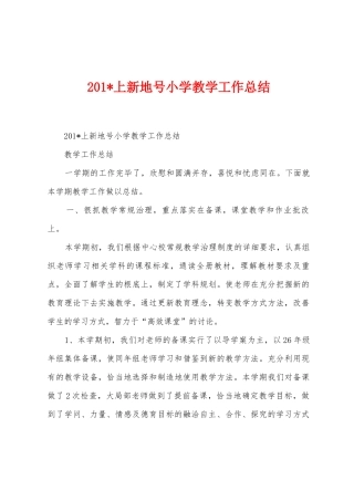 2025年上新地号小学教学工作总结